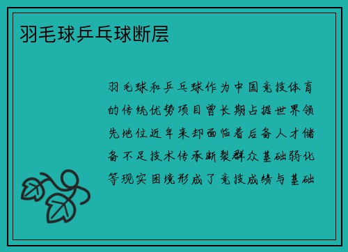羽毛球乒乓球断层